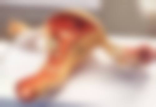 厦门井美整形外科门诊部擅长项目。