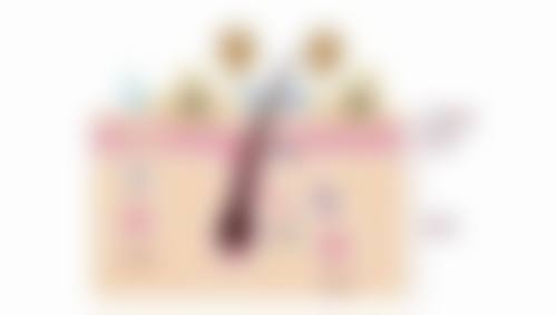 西安瑞丽御尚美医疗美容专科医院口碑评价与项目分享: