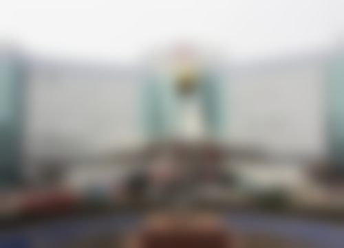 梁丽医生擅长项目
