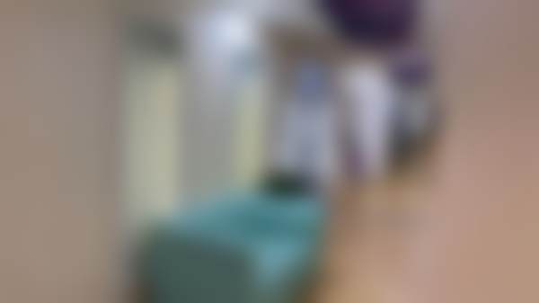 主要项目