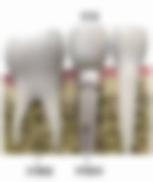 预约挂号方式便捷效率高流程清晰