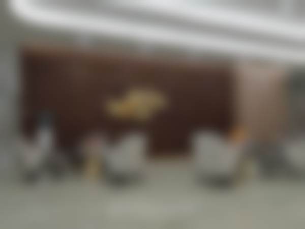 核心擅长项目与技术优势展示