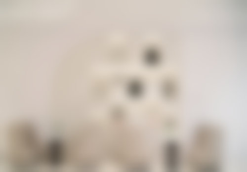 杨琉舒核心擅长项目清单