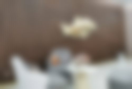台州维多利亚盛健康医生预约挂号与询问渠道